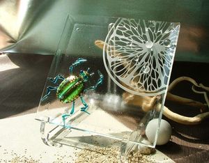 2009 Catalog-聖甲蟲