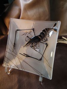 2011 Catalog-Ink Shrimp II