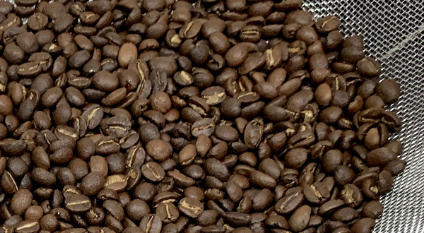 樸樹咖啡的誕生
